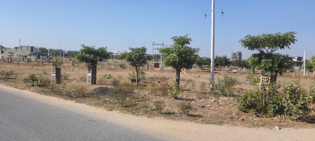 🏠Buy Residential Plots for sale in Rajasthan | 4694+ Lands for sale in  Rajasthan